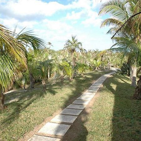 Rocks Retreat By Eleuthera Vacation Rentals North Palmetto Point Екстериор снимка