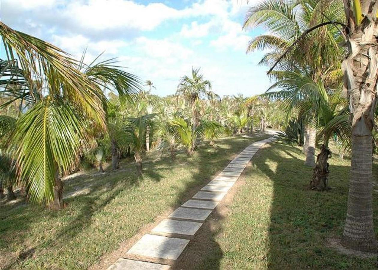 Rocks Retreat By Eleuthera Vacation Rentals North Palmetto Point Екстериор снимка